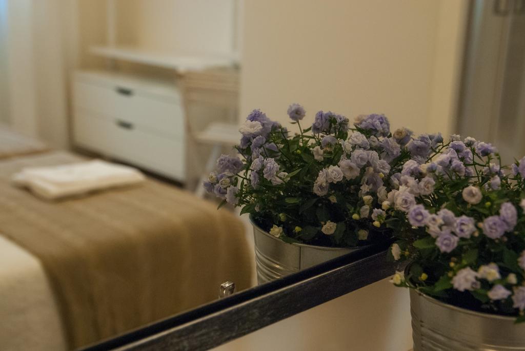 Bandbfirenze 8 Cittadella 8 Стая снимка